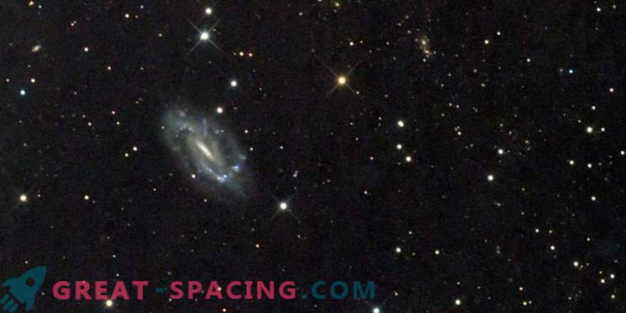 Ali je v galaksiji NGC 3319 redka črna luknja?