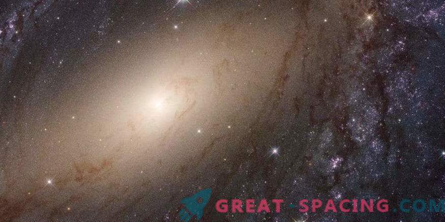 Znanstveniki so objavili popoln pregled UV svetlobe bližnjih galaksij