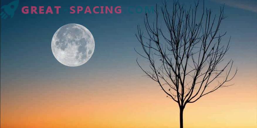 Kaj lahko pričakujete od polne lune 19. april 2019