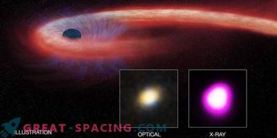 Supermasivna črna luknja raztrga nesrečno zvezdo