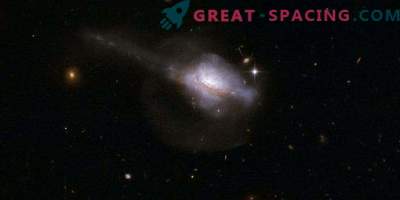 Aktivna galaktična jedra in rojstvo zvezd