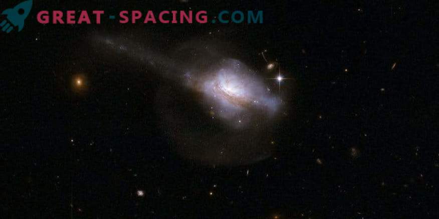 Aktivna galaktična jedra in rojstvo zvezd