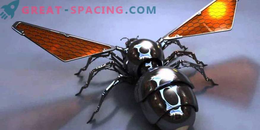 Lahko pošljejo čebele na Mars
