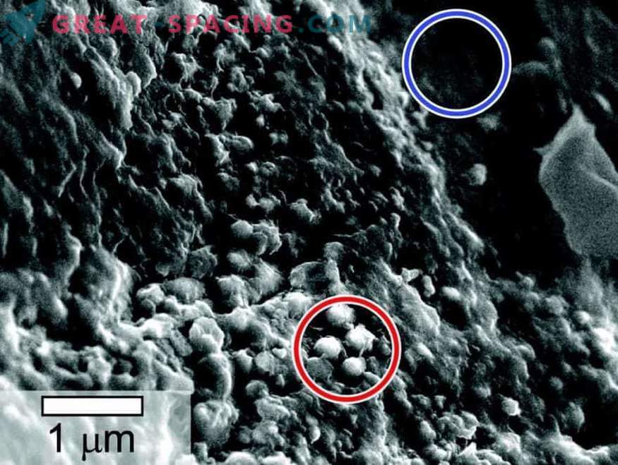 Življenje je mogoče najti v vzorcih marsovskega meteorita.